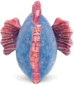 Jellycat Knuffel Fishiful Blauw - 13x16cm -JELLYCAT Winkel jellycat knuffel fishiful blauw 13x16cm 3